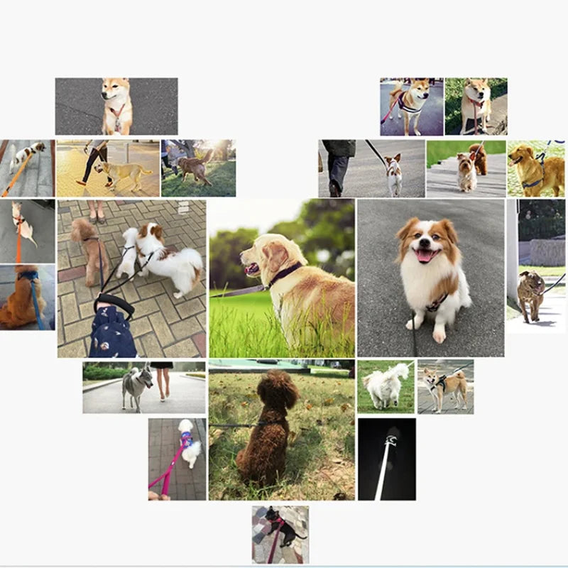 Heavy Duty Dog Leash for Large Dogs – Strong Nylon Rope Training & Walking Lead