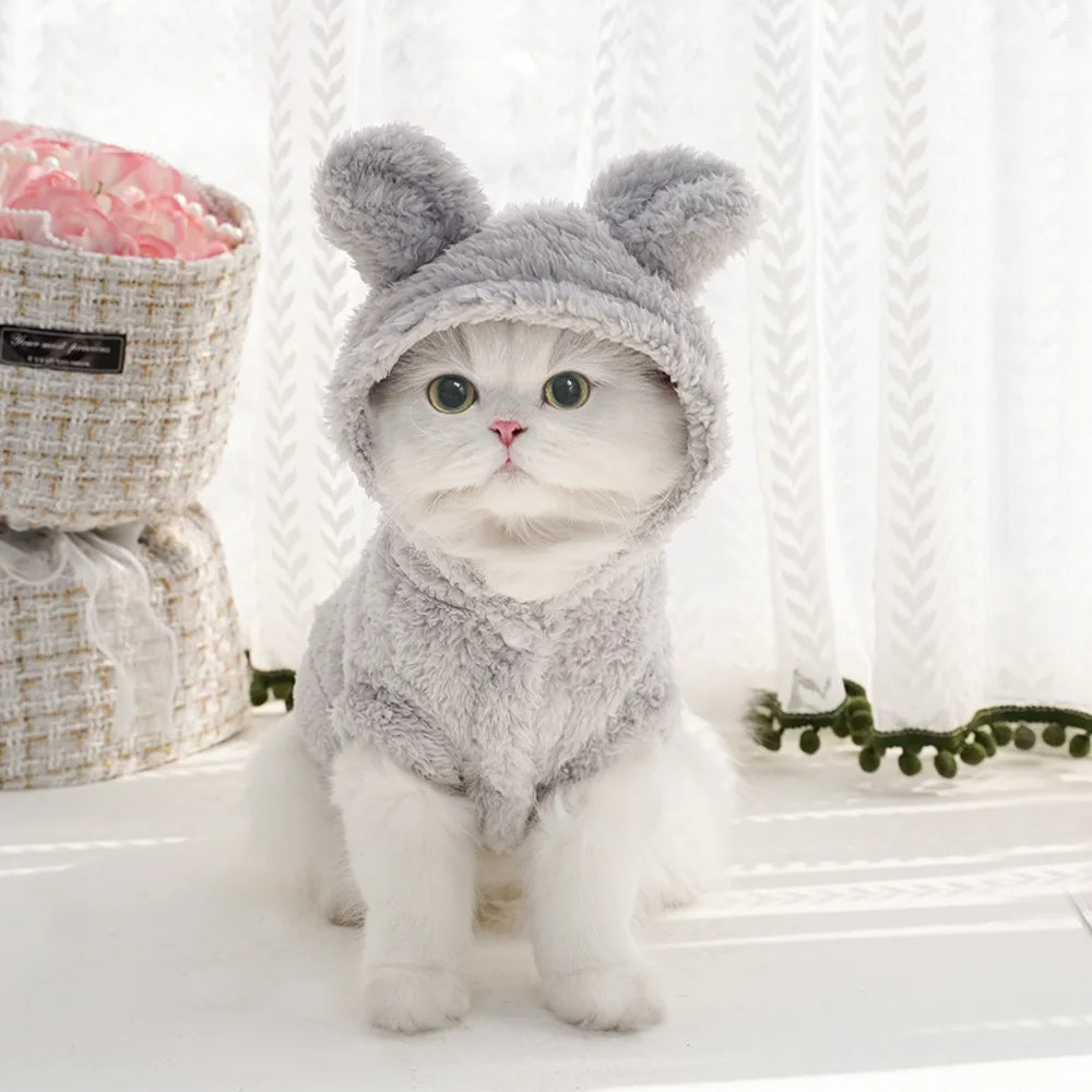 Cute & Cozy Cat Hoodie 🐾❄️ Ultra-soft fleece to keep cats & small pups warm, snug, and stylish all season long! 💕